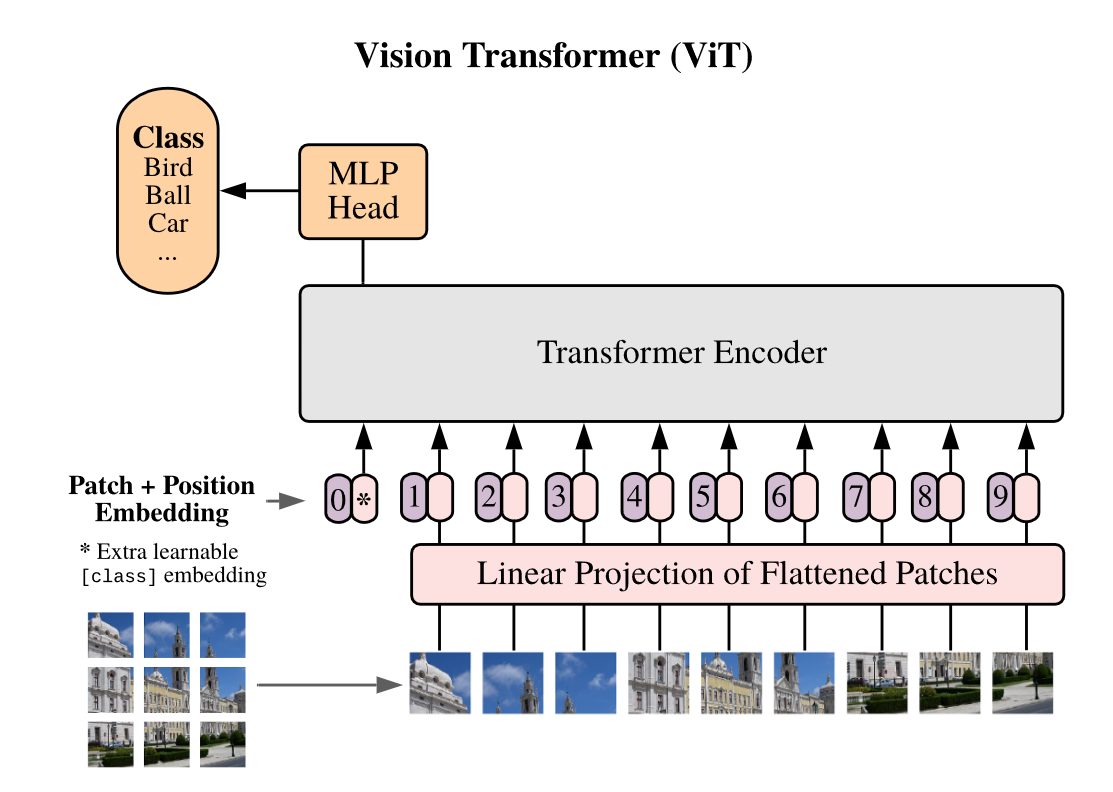 ViT адаптирует стандартную архитектуру трансформера для классификации изображений.